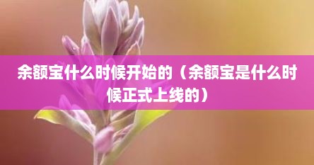 余额宝正式推出时间：2013 年 6 月，对传统金融影响深远