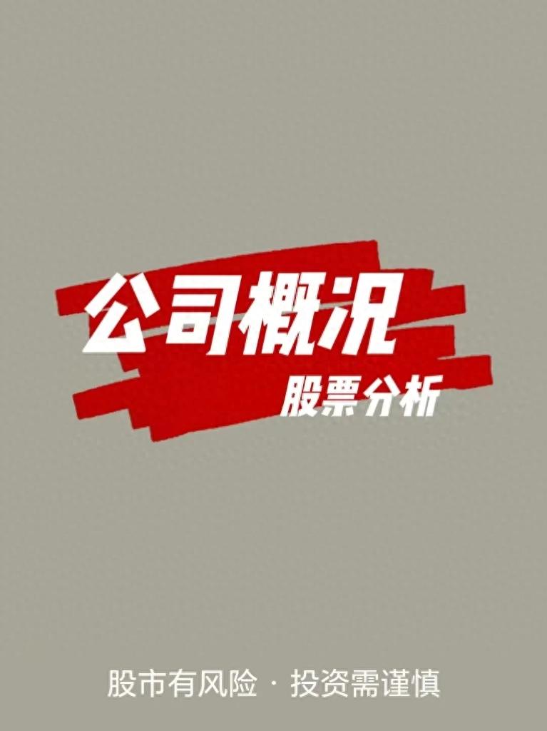 关于深发展公司的股票分析：涵盖深发展投资及深发展A等