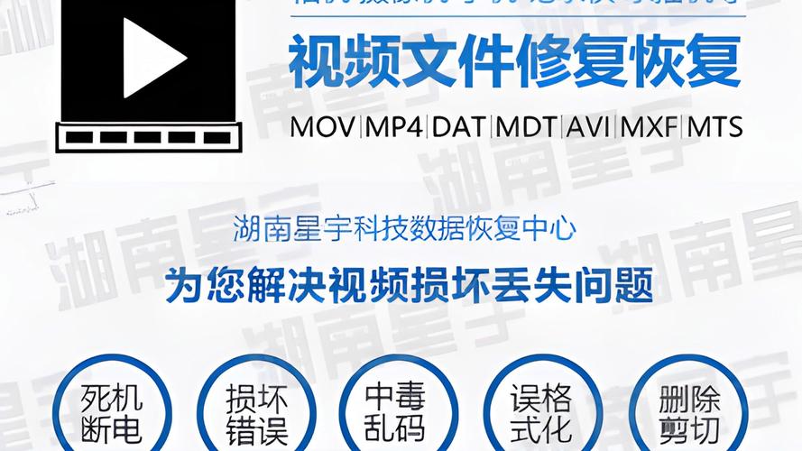 MTS视频数据恢复工具_佳佳数据恢复专业版_佳佳索尼MTS视频恢复软件