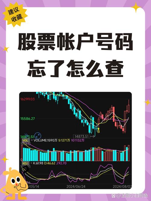 股票登录方式_支付宝怎么登录股票账户_股票交易平台安全性