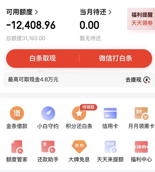 白条额度负数怎么办_白条额度负数原因_京东额度不够能分期吗