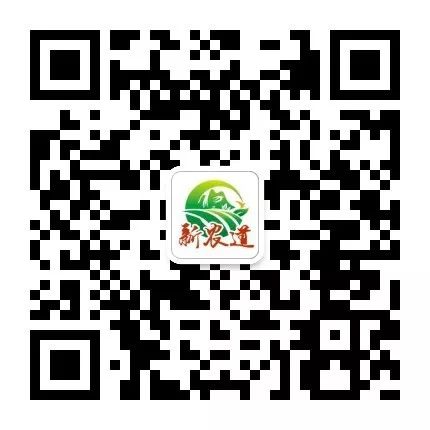 小额贷款发展现状前景_小额贷款公司发展现状_目前小额贷款公司现状