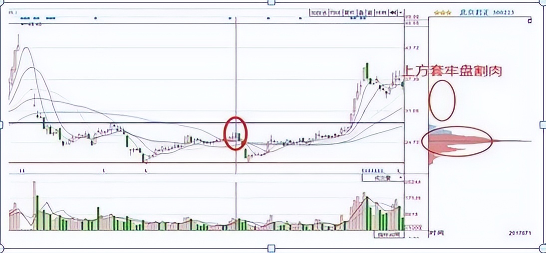 怎么看股票主力和散户的比例_短线操作技巧之复盘方法_牛市与股灾下的短线操作技巧