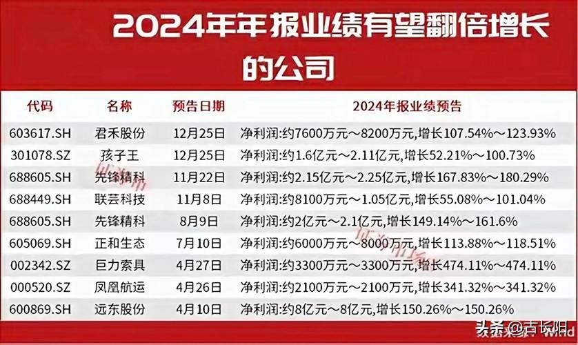 2024全年公司业绩高速增长，2025年营收目标346亿，能否实现高增？