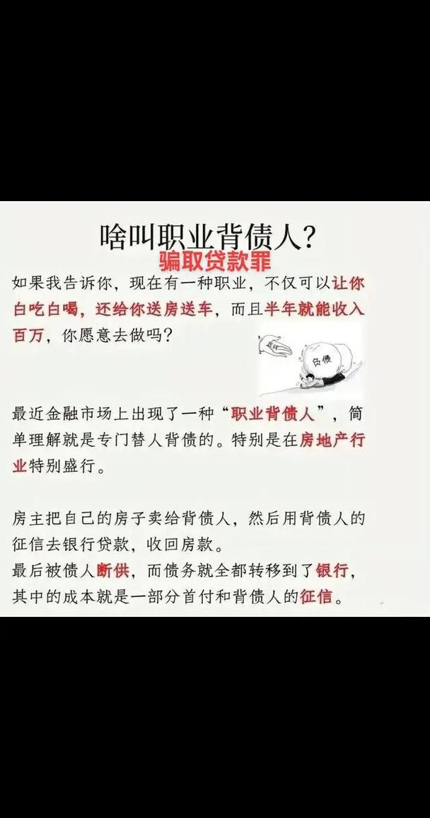 房贷被拒可以换个人贷吗_职业背债人中介贷款骗局_银行贷款虚假材料审核疏漏