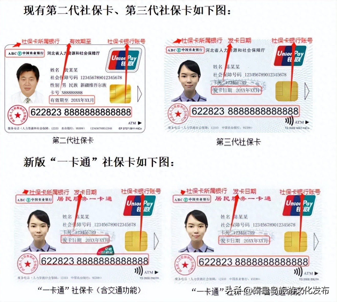 秦皇岛多地通知！速看！第三代社保卡更换相关事项全在这了