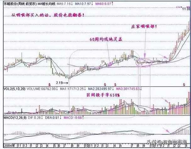 高送配除权后成交量放大操作技巧：庄股炒作规律与散户应对策略