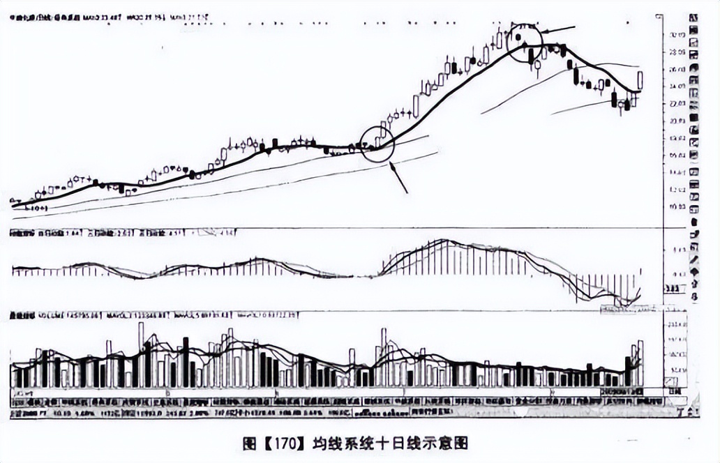 怎么看股票主力和散户的比例_主力吸筹拉升条件_一割就涨策略