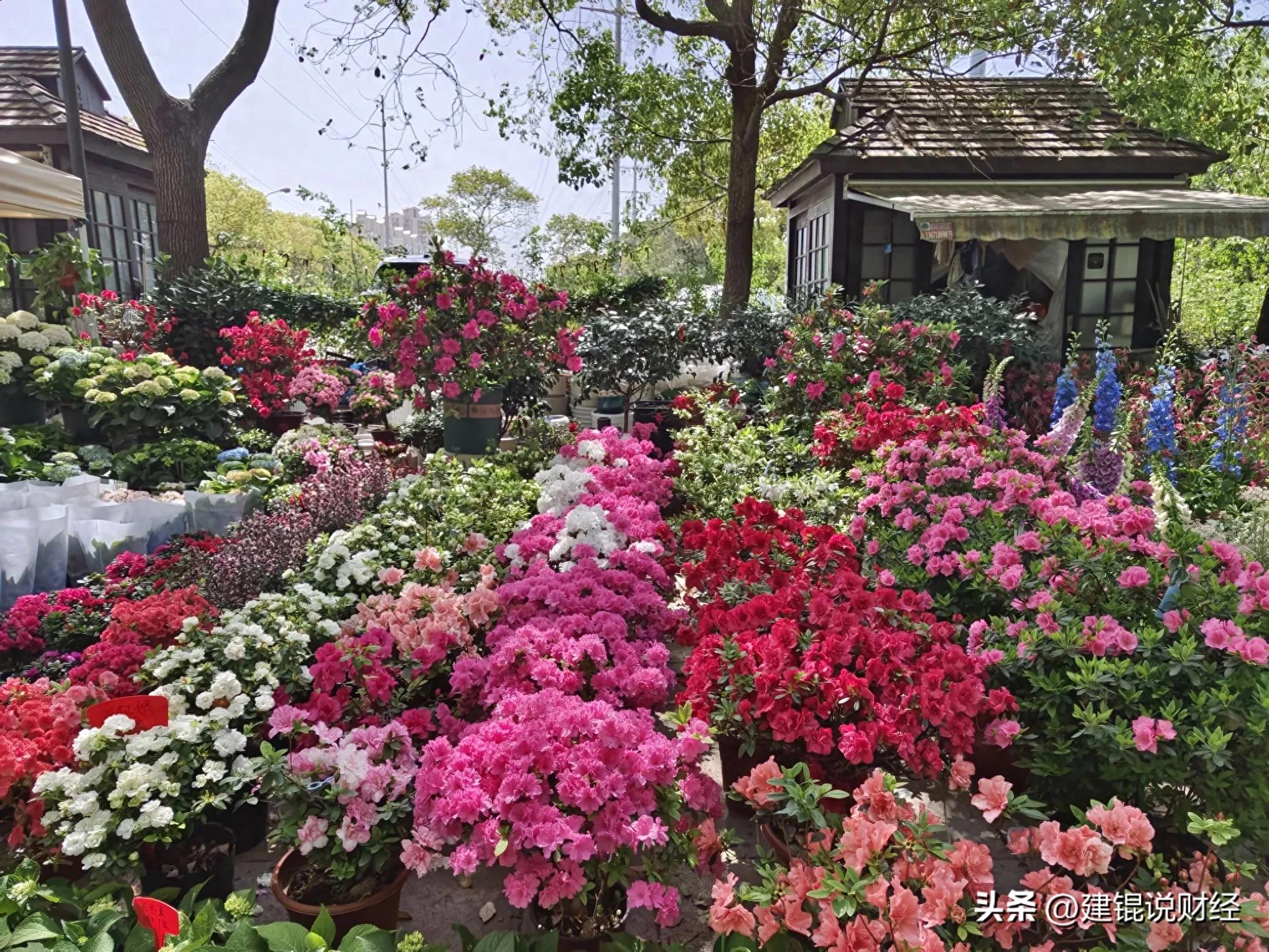 2024年底我国外汇储备超3.2万亿居首，谁负责投资管理？