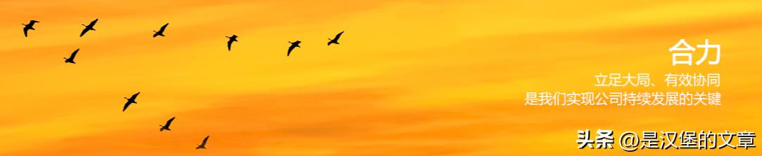 中央汇金核心职能解析_外汇储备是中央银行的资产吗_中央汇金历史沿革分析