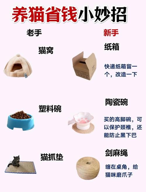 猫咪记账本：实用手机记账软件，助铲屎官记录猫咪日常开销