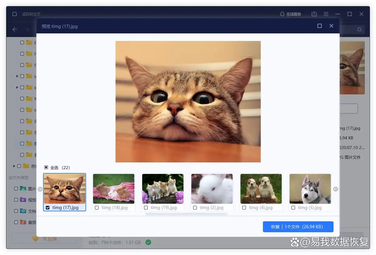 恢复被替换文件方法_修改后的文件还能恢复吗_文件替换后如何找回