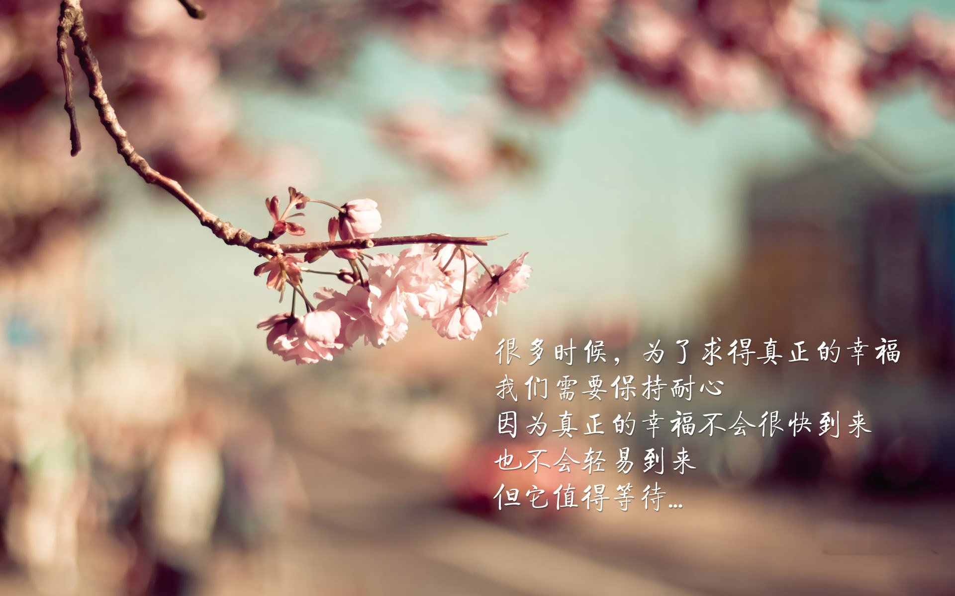 重庆网站的网络推广策略与实战技巧