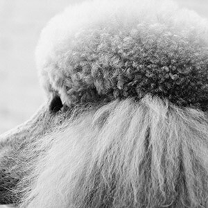 车贷有利息吗2025_车抵贷利率计算方式_车抵贷利息是多少