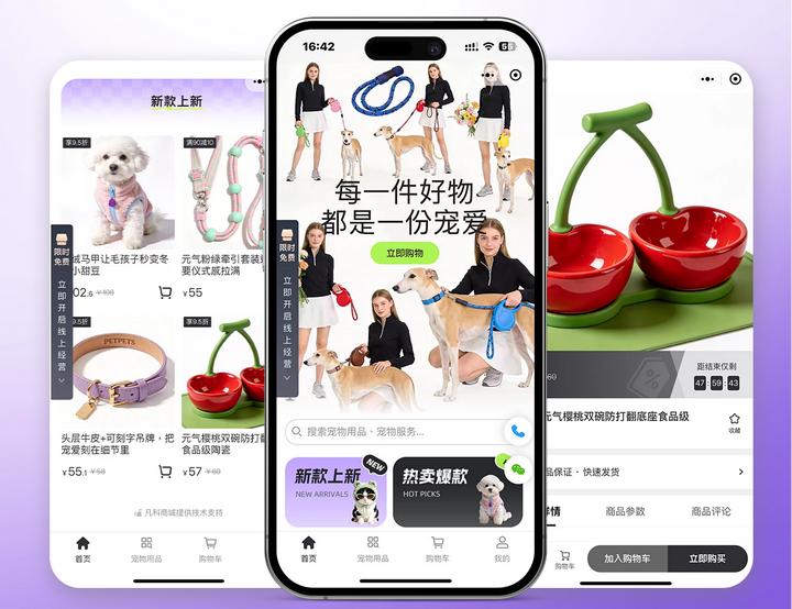 张家口商家看过来！教你低成本快速搭建适配生意的微信小程序