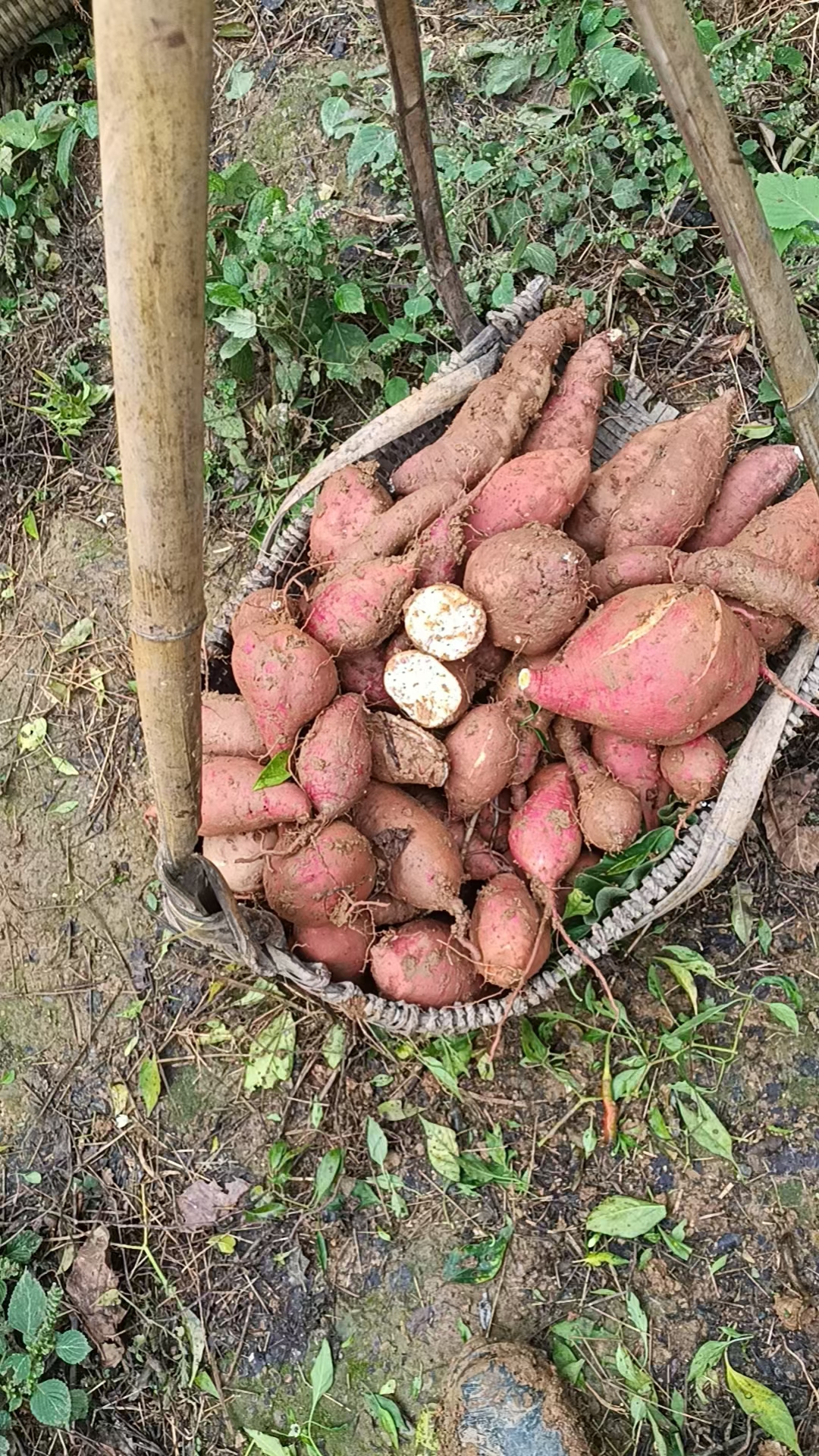 返乡创业_农村电商_个人申请创业贷款窍门