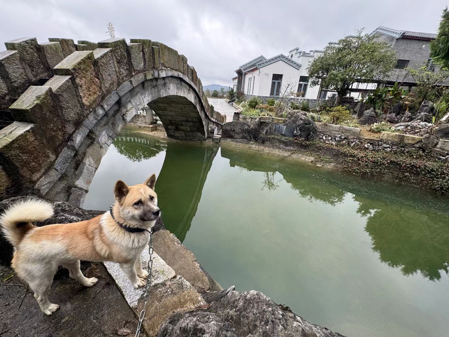 农村电商_个人申请创业贷款窍门_返乡创业