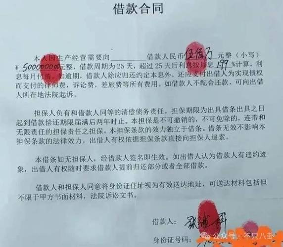 莫名成了公司股东？泰州一女子身份证出借后遇这事