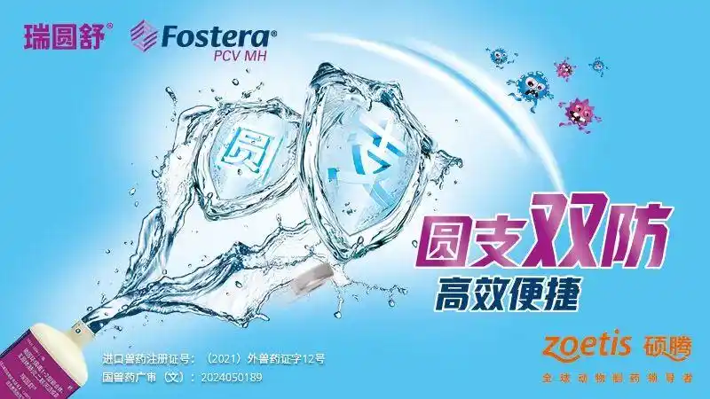 2026养猪可以买保险吗_生猪期货套期保值_生猪价格保险