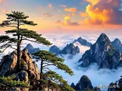 指望财富提现多久到账？别等运气，主动拼来才是真