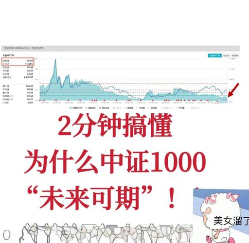 长信量化中小盘一直跌_中证1000指数回调 国证2000指数下跌 中小市值基金净值涨幅